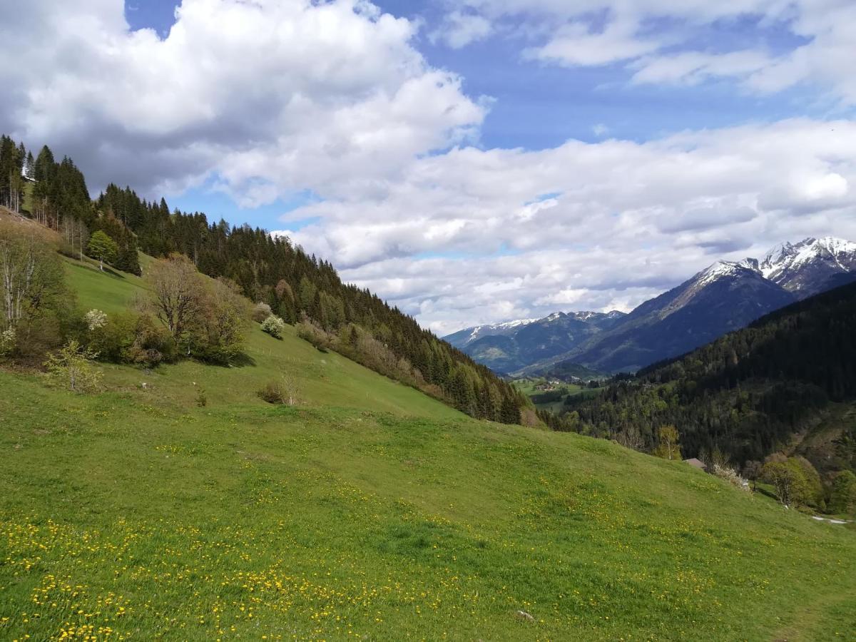 Apartment Alpenpanorama Goldegg Exterior photo
